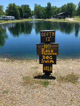 dog swim area
